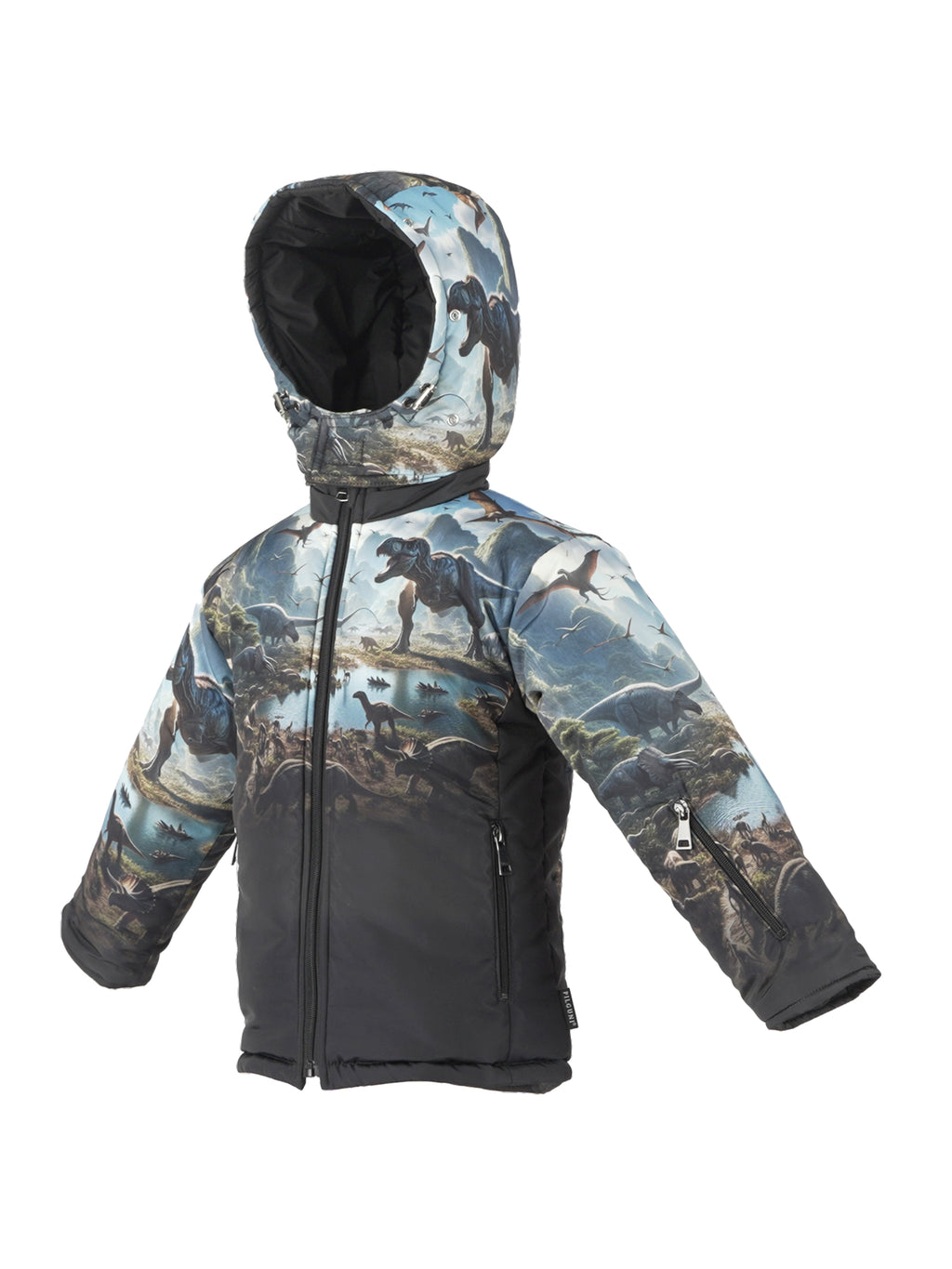 Ski Jacket + Ski Pants